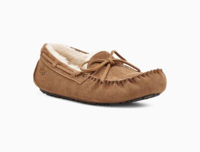 UGG Olsen Mens Slippers Chestnut/ Brown - AU 563NP
